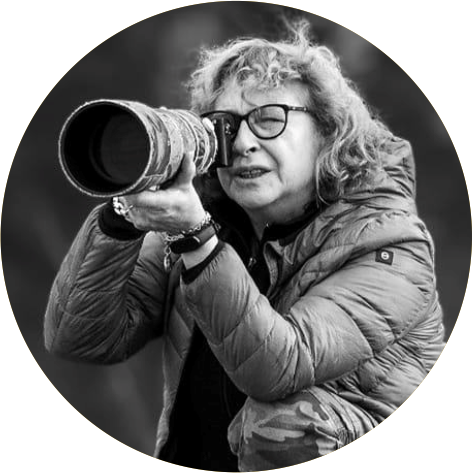 Silvia De Otaño