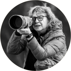 Silvia De Otaño
