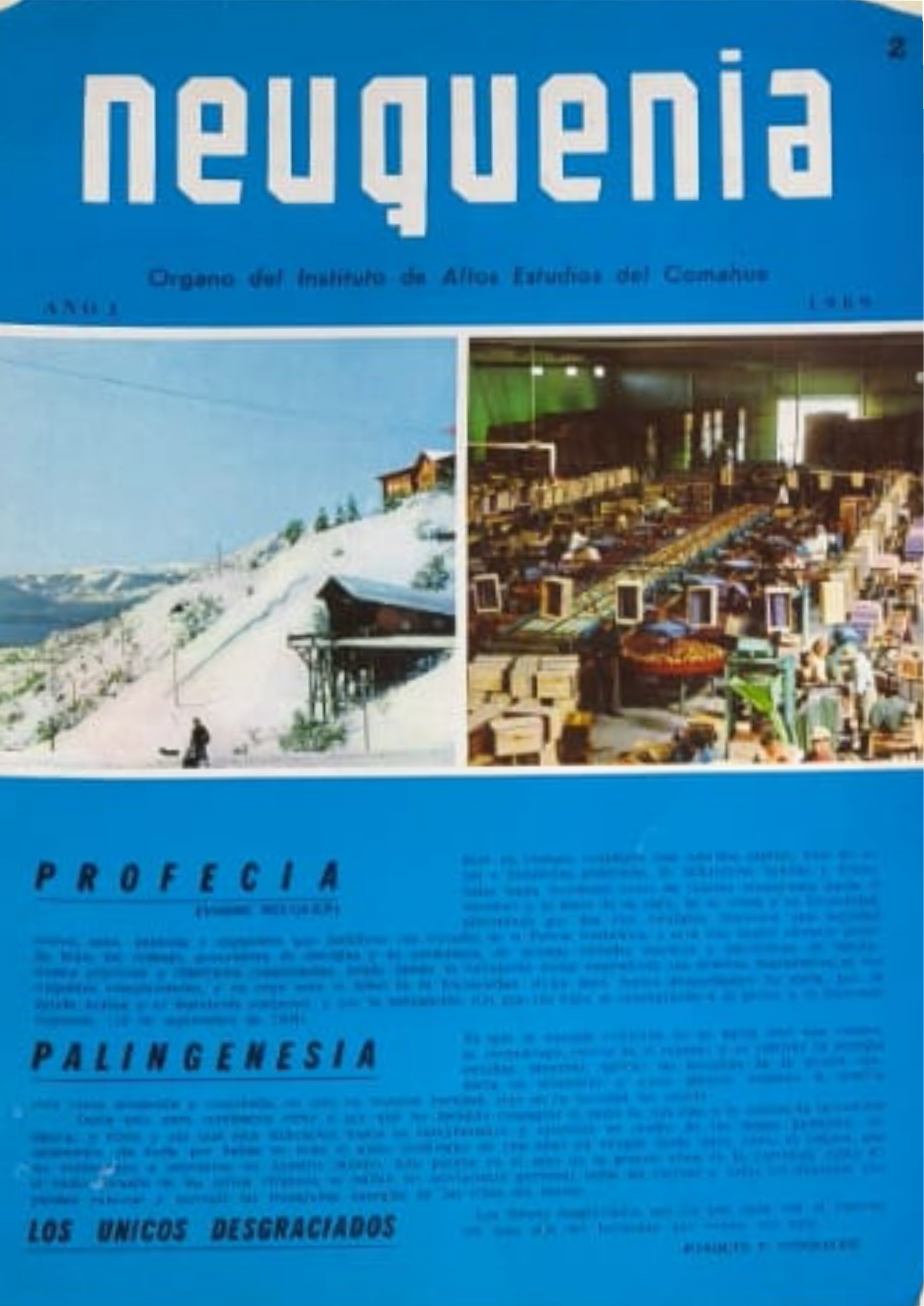 Sobre Neuquenia - imagen 2